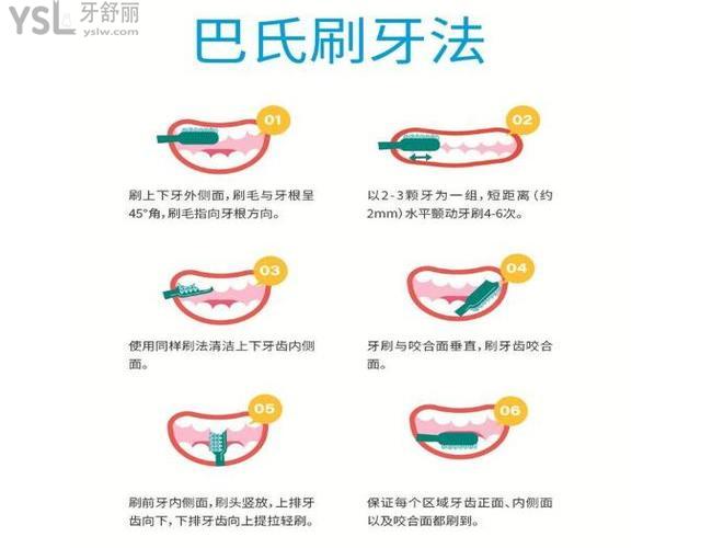 巴氏刷牙法的正确步骤(含图解)