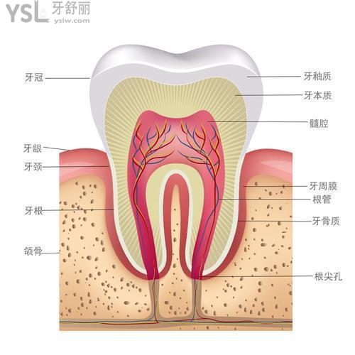 下载 (1).jpg