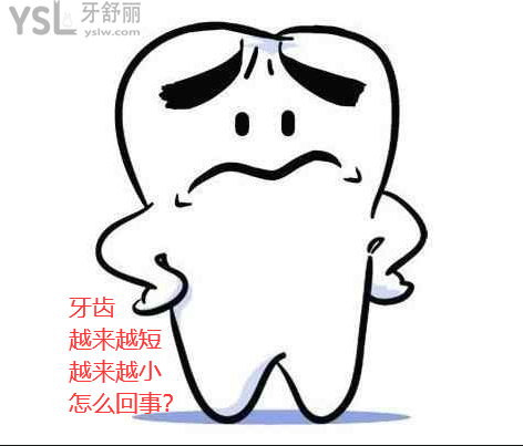 牙齿越来越短越来越小什么原因