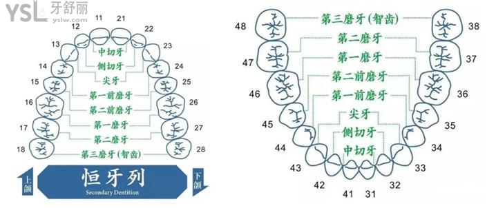 西安牙科怎么收费的 2021西安口腔价格表