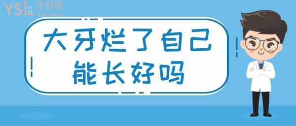 大牙烂了个大窟窿能自己长起来吗