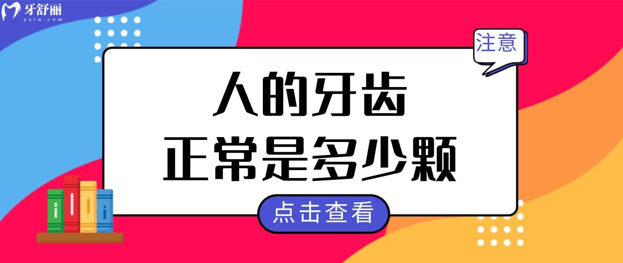 人的牙齒正常是多少顆圖片?恆牙和乳牙分別有多少顆?jpg