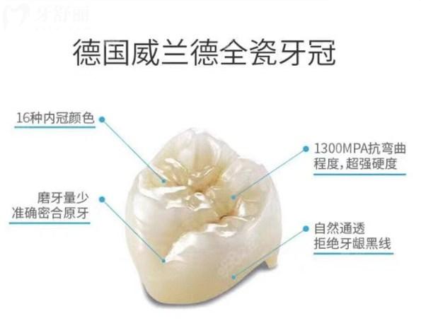 进口全瓷牙