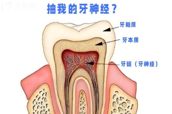 杀神经和根管治疗是一回事吗？