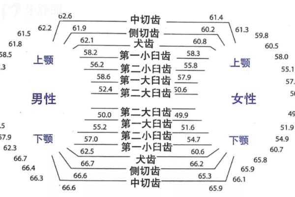 正常牙齿数量是多少颗？