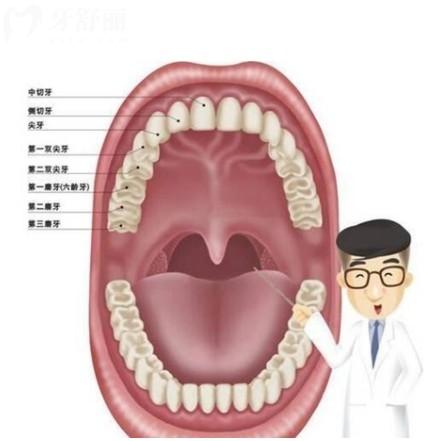 正常牙齿数量是多少颗？